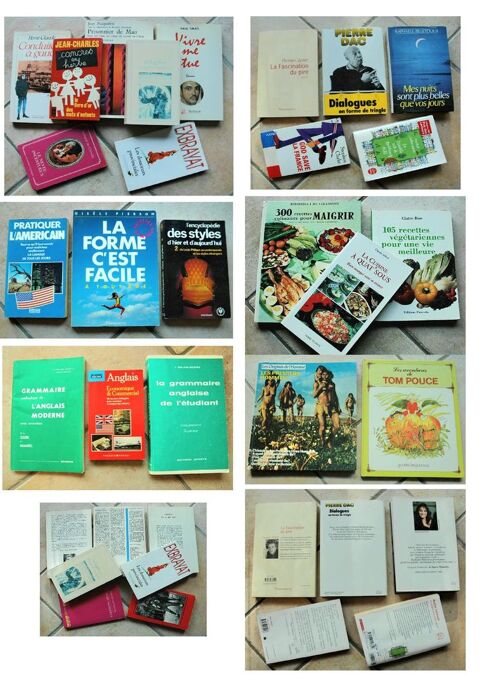 Lot 22 livres, Romans, Guides pratiques, Scolaires, enfants Buxerolles (86)