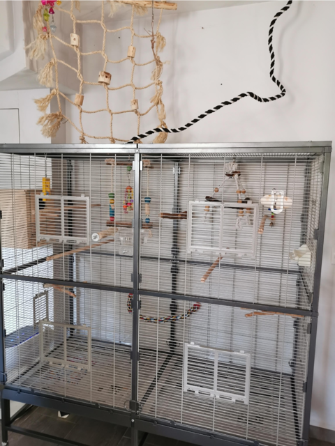 cage Montana paradiso 150 300 78940 La queue-les-yvelines