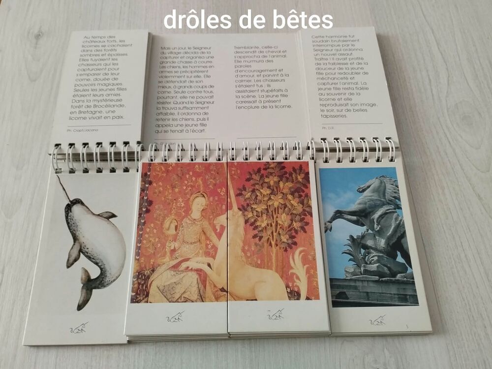 Lot de 3 livres-jeux &agrave; languettes ? &Eacute;ditions Circonflexe Livres et BD