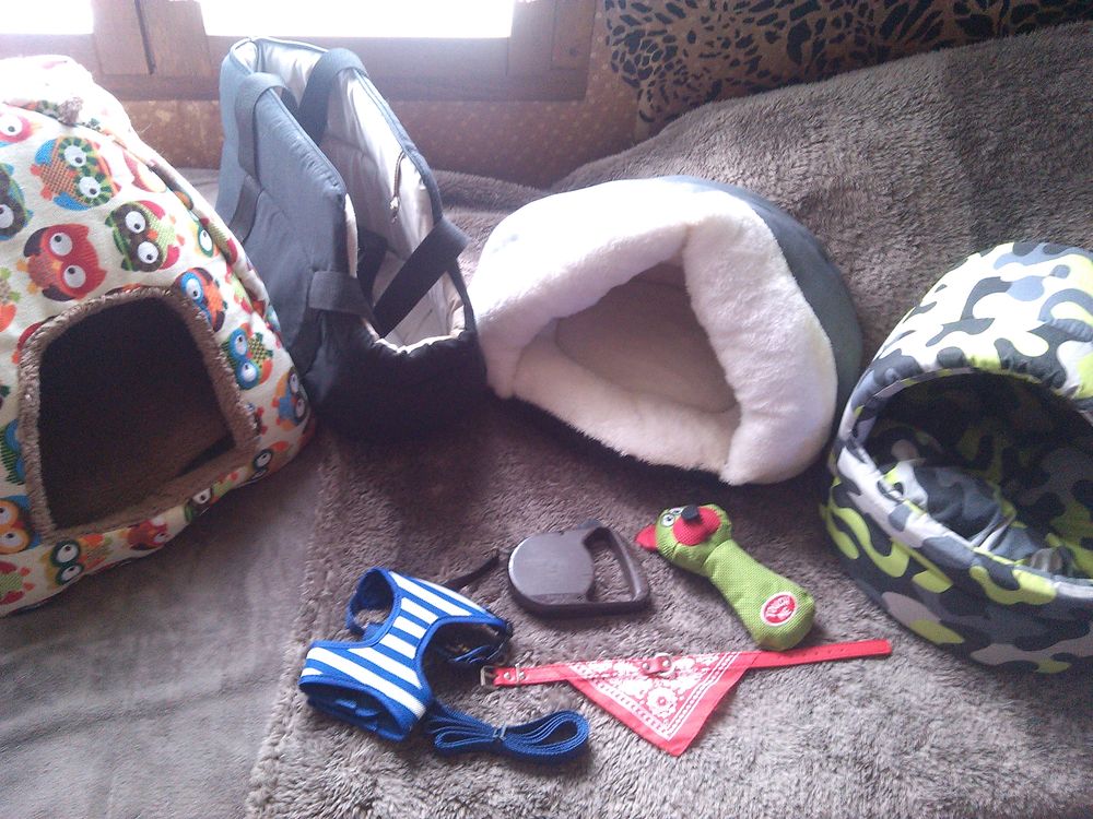   ACCESSOIRES POUR PETITS CHIENS DE   1 A 3 KG  OU POUR CHATS 