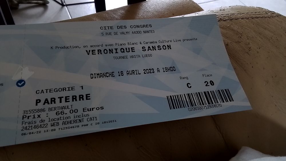 Place de concert V&eacute;ronique Sanson 
Billetterie