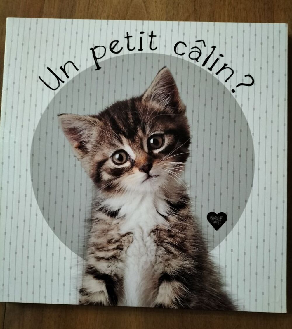 CADRE TOILE CHATONS Décoration