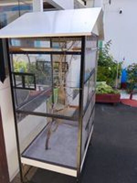   Cage  
