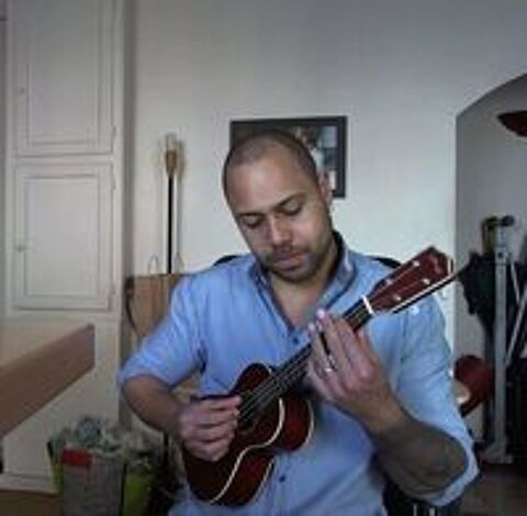   Pro donne cours de guitare et de Ukull pour 25 (St-mand) 