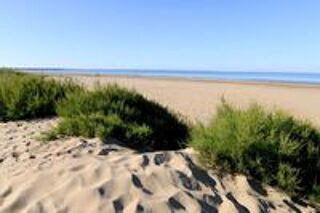  2021 occasion 44250 Saint-Brevin-les-Pins