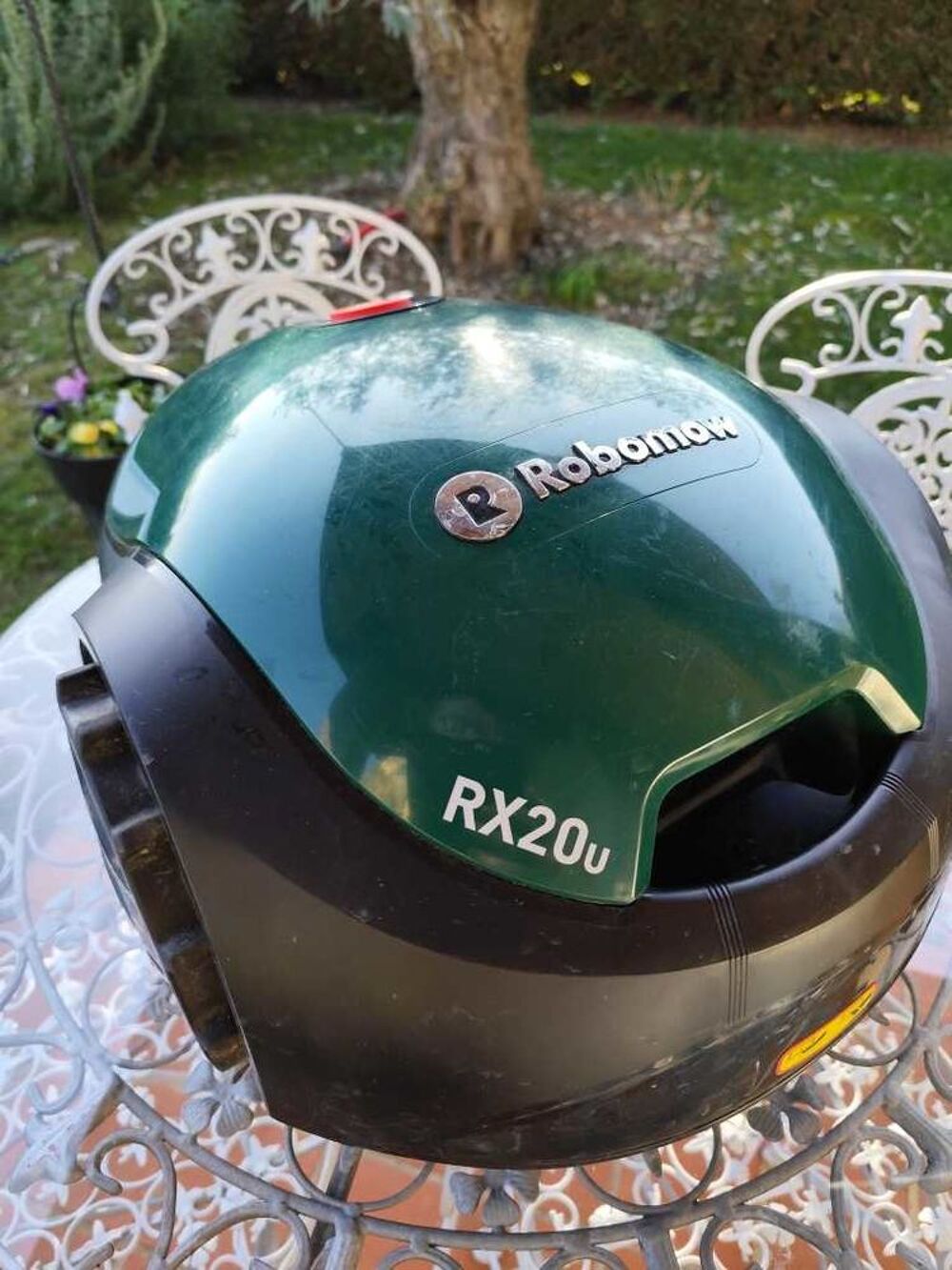 Robot tondeuse Jardin