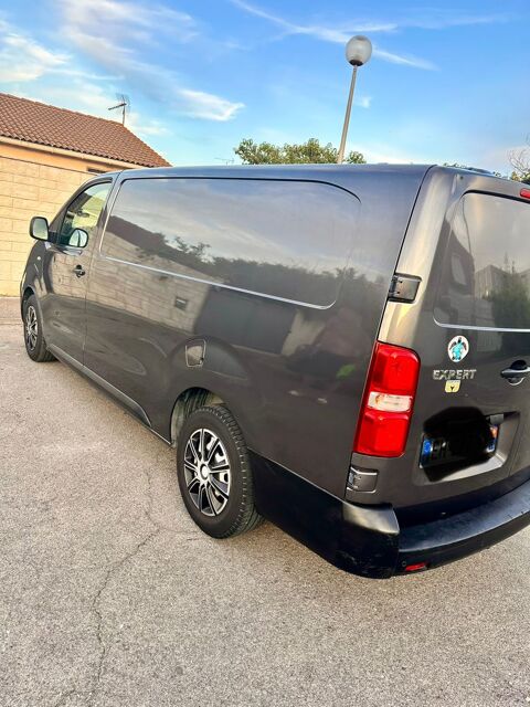 Peugeot Expert EXPERT FGN TOLE LONG BLUEHDI 120 S&S BVM6 PREMIUM PACK 2016 occasion Narbonne 11100