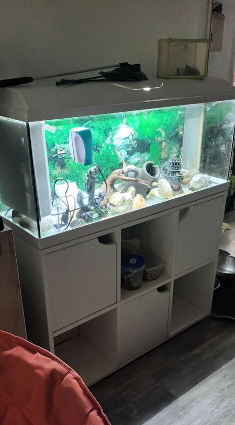 Aquarium + meuble 0 80290 Poix-de-picardie