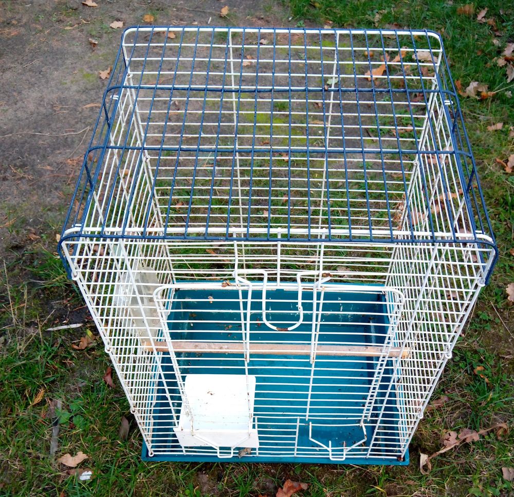   cage oiseaux hauteur 55 cm 