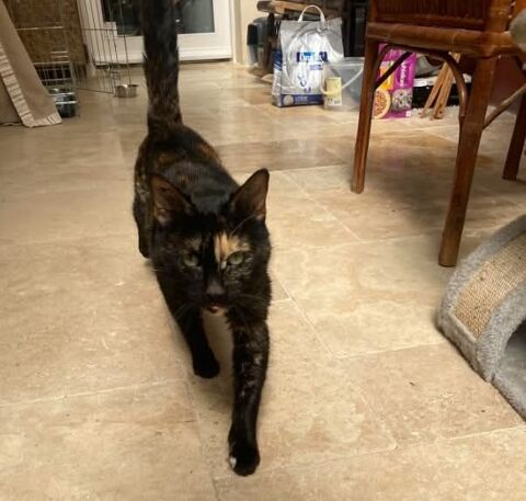 Chlo&eacute; 200 26700 Pierrelatte