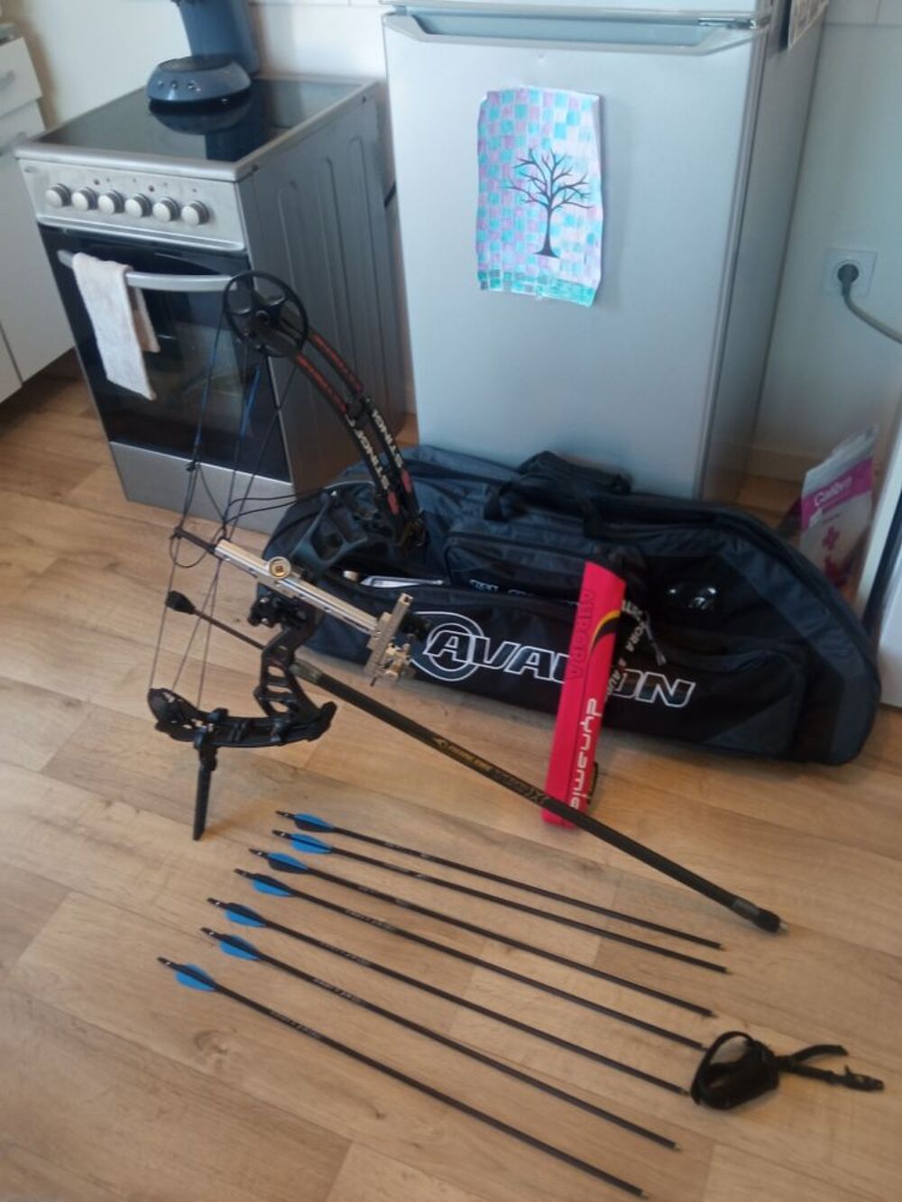 Arc a poulies pse stinger extr&ecirc;me Sports