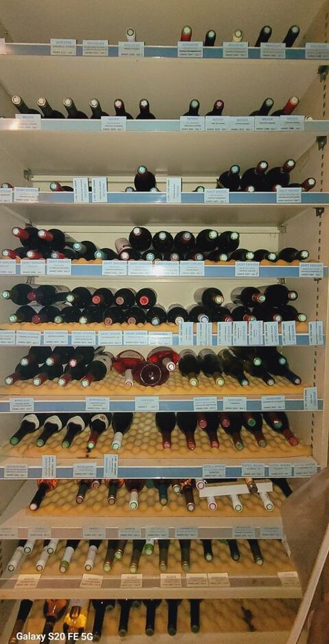 DE VINS TOUS CEPAGES ET TOUTES REGIIONS Tesson (17)