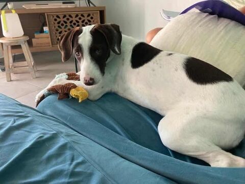 Sweety LOVELY ! 300 37000 Tours