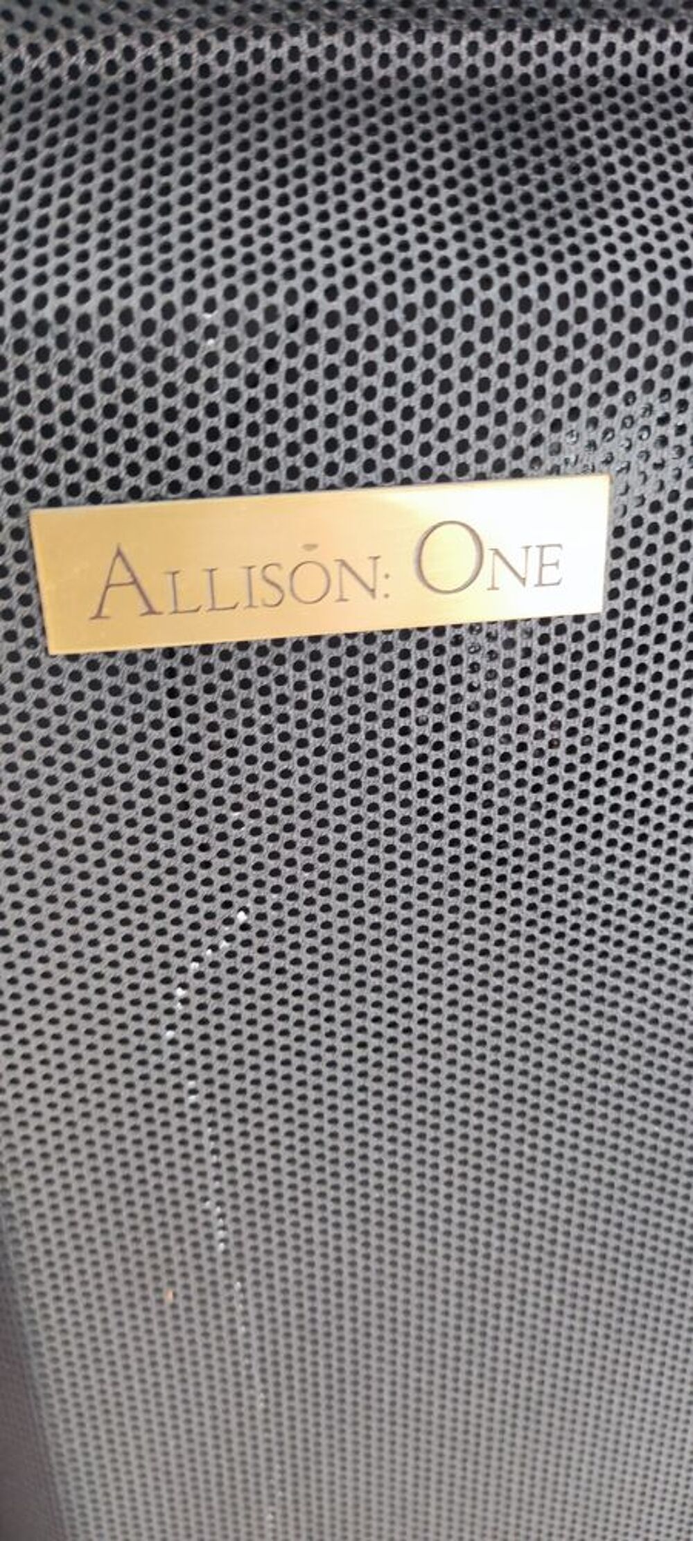 Enceintes haut de gamme Allison one vintage Audio et hifi