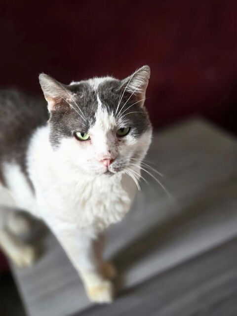 LAKA 210 60000 Beauvais