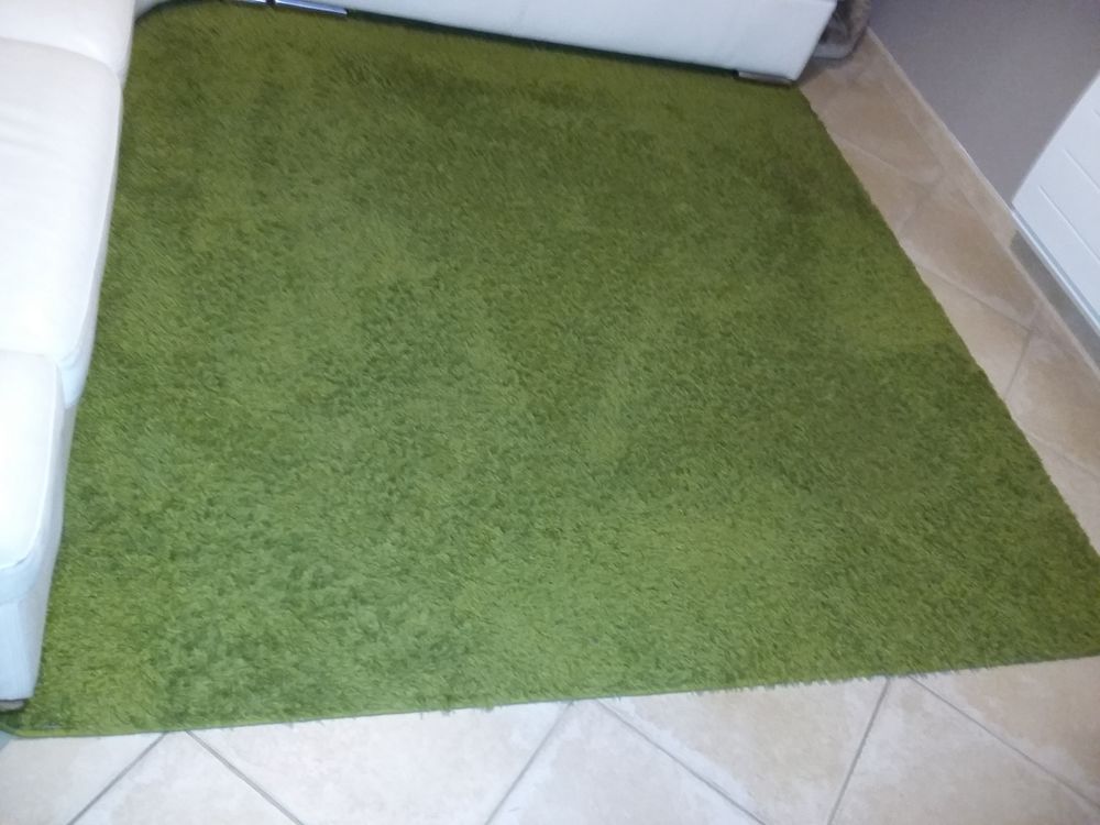 Tapis shaggy vert Décoration
