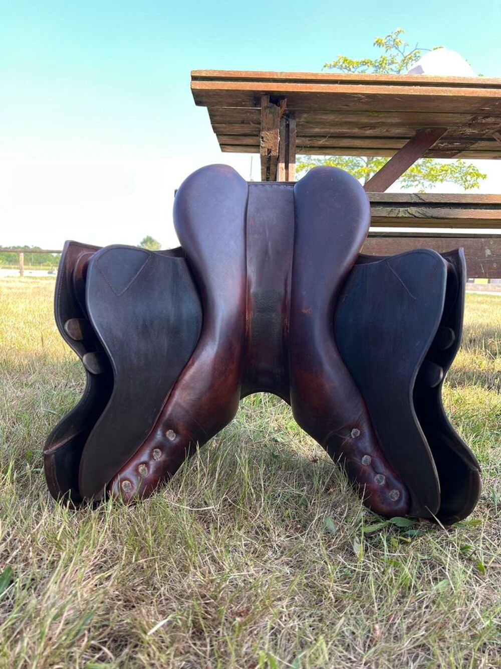 Selle BRUNO DELGRANGE Partition Si&egrave;ge 17,5 Sports