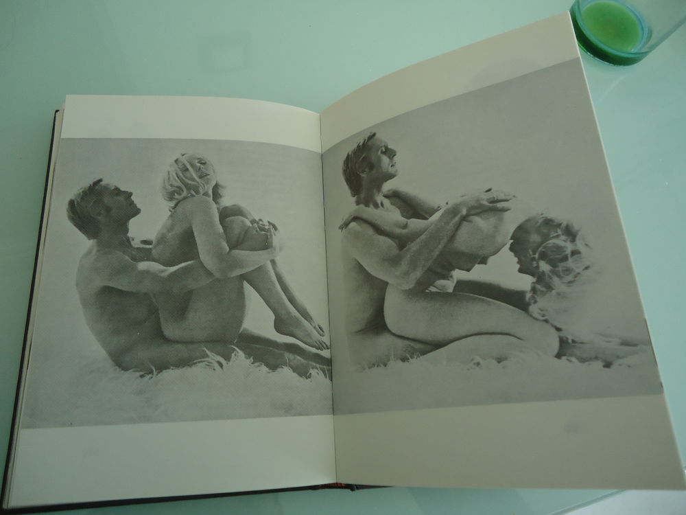 LE COUPLE ET L AMOUR Livres et BD