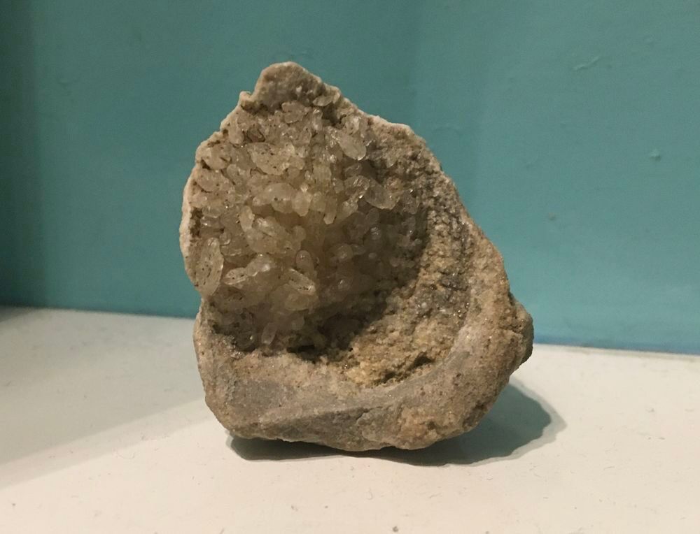 Coquillage fossilis&eacute; 