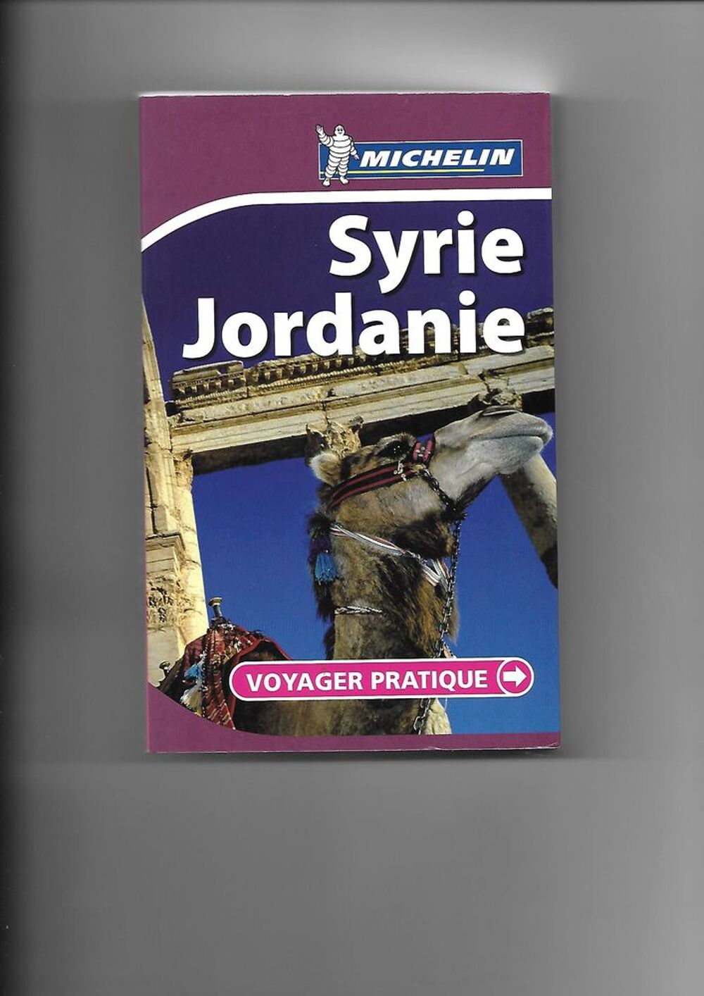 D&eacute;couvrir PETRA et la JORDANIE Livres et BD