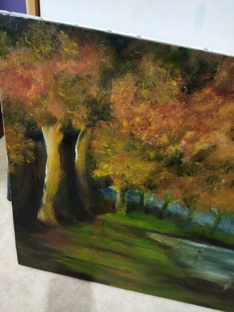 peinture 20 Amiens (80)