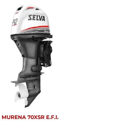 Moteurs de bateaux Moteurs de bateaux 2026 occasion Roquefort-la-B&eacute;doule 13830