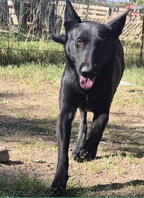 Vortex 230 26700 Pierrelatte