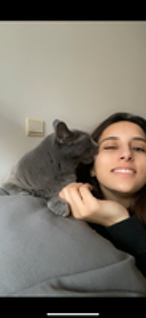   Garde chat et chien à domicile pendant vos vacances. Paris 