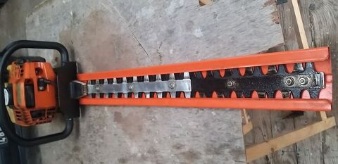 taille haie 180 Sainte-Gemme-la-Plaine (85)