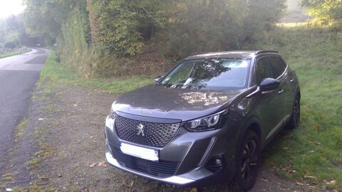 Peugeot 2008 BlueHDi 110 S&S BVM6 Roadtrip 2022 occasion Mortagne-au-Perche 61400