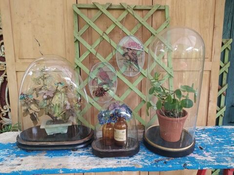 Anciens Globes de Mari�e Verre Napol�on III
80 Loches (37)