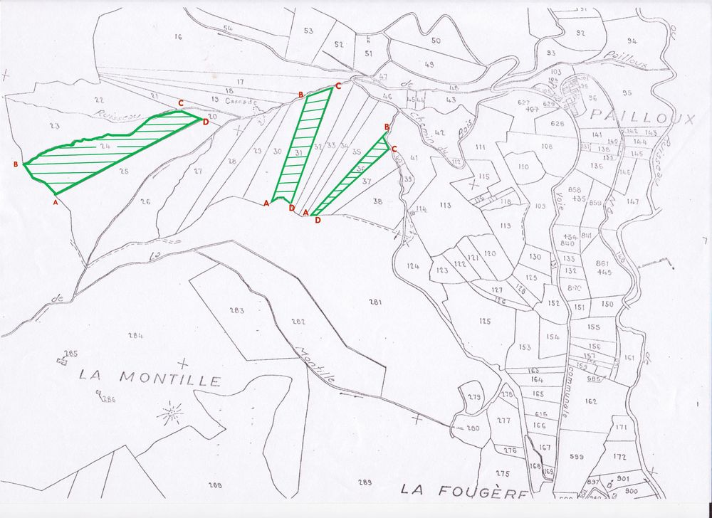 Vente Terrain Parcelles boisées au Mont-Dore Mont-dore