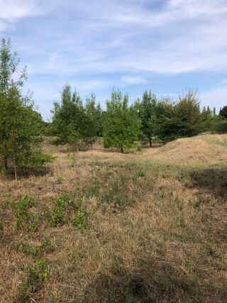  Terrain à vendre 1438 m² Ners
