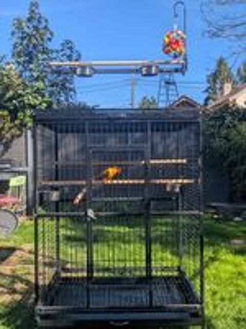   Cage perroquet  