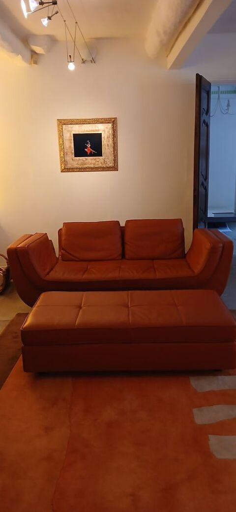 Très beau canapé en cuir Roche Bobois Nice (06)