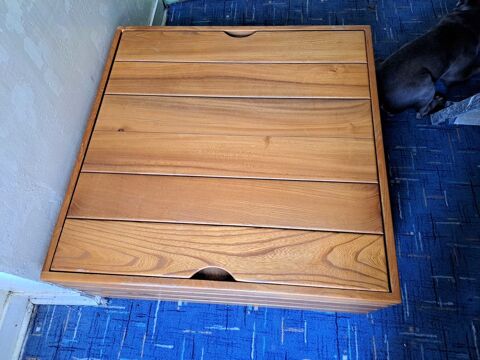 Table de salon - coffre - Regain 300 Dagny (77)