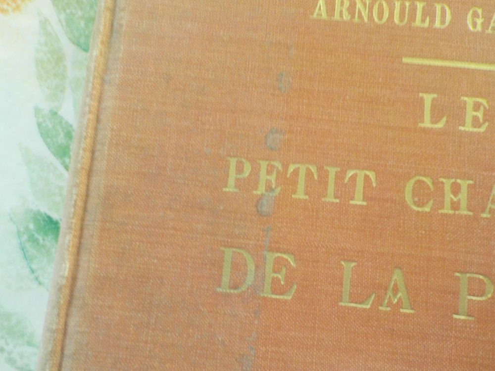 LE PETIT CHASSEUR DE LA PAMPA de Arnold GALOPIN 1 &agrave; 50 1925 Livres et BD