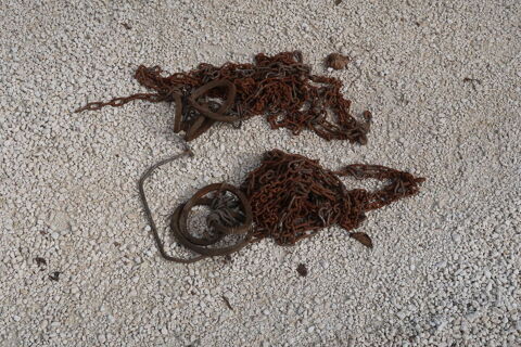 CHAINE A NEIGE 2 La Teste-de-Buch (33)