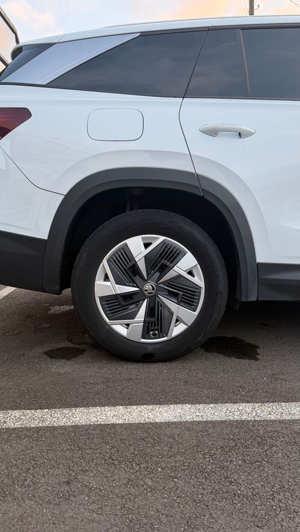Kodiaq SELECTION 2024 occasion 40100 Dax