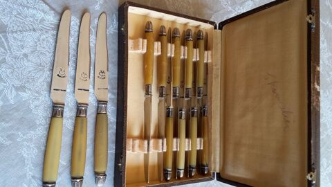 Srie12 couteaux Vintage avec coffret d'origine Annes40/50 70 Bziers (34)