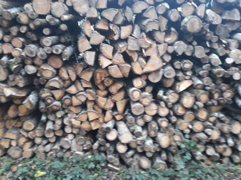 bois de chauffage sec 55 Ch�tillon-Coligny (45)