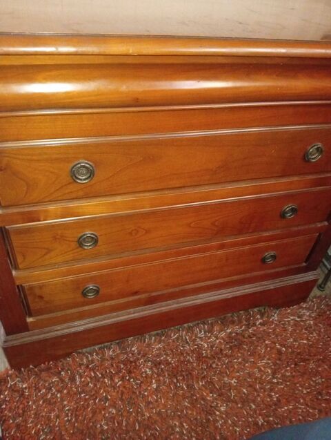COMMODE STYLE LOUIS PHILIPPE 75 Paris 20 (75)