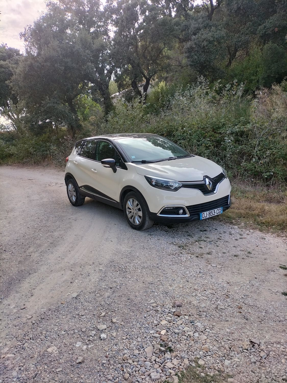 Captur Eco 2014 occasion 13570 Barbentane