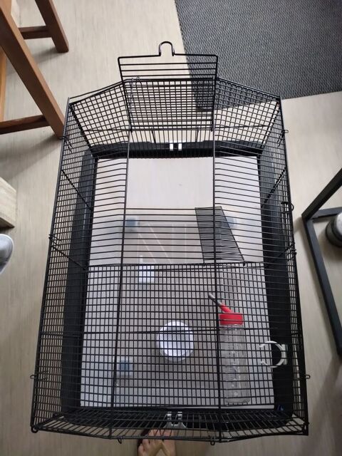 Cage oiseaux 55 17100 Saintes