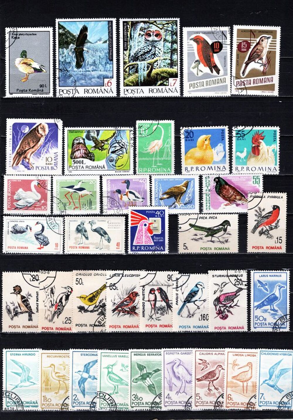 lot de 37 timbres de ROUMANIE avec des OISEAUX 