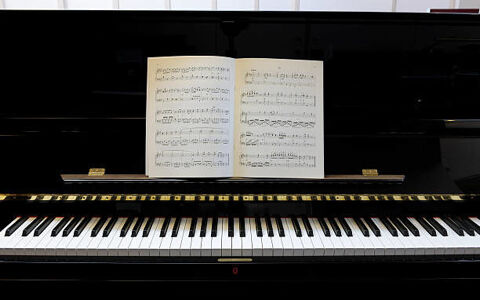 🎵 FONDS DE COMMERCE – MAGASIN D'INSTRUMENTS DE MUSIQUE 🎵 305200 33000 Bordeaux