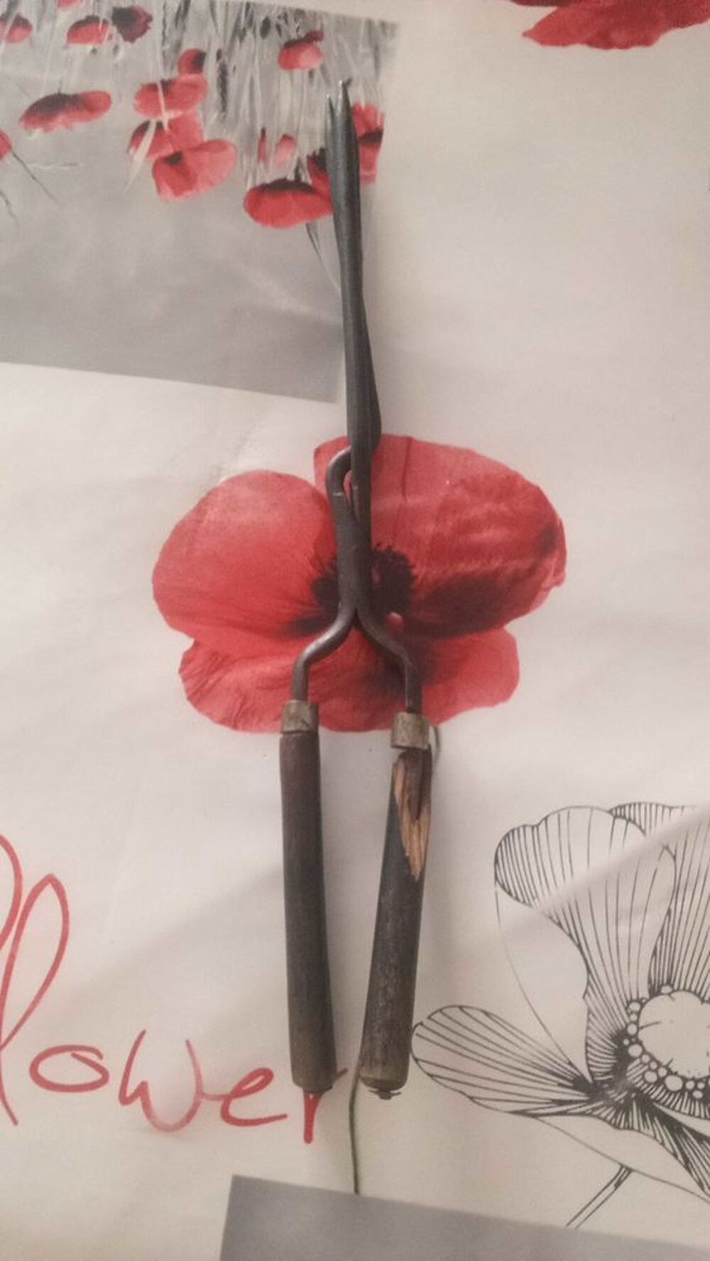 ciseaux de coiffeur 