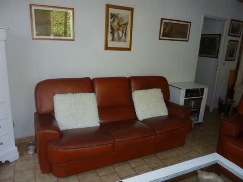 salon complet cuir de buffle couleur havane  canape +2 faute 1000 Vinassan (11)