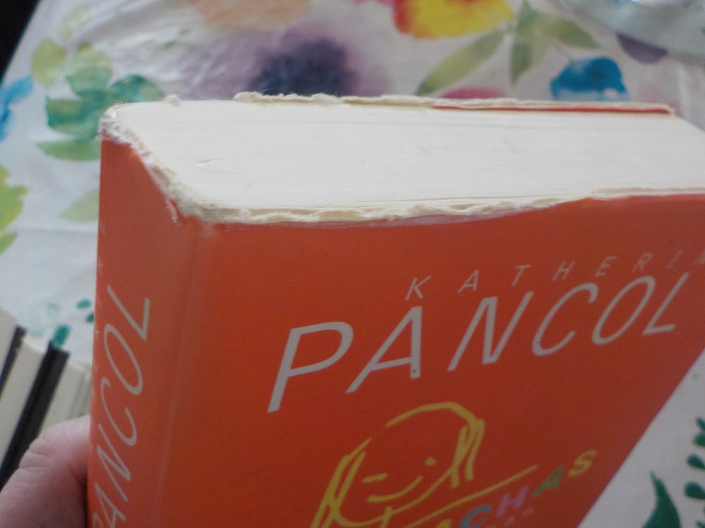 MUCHACHAS de Katherine PANCOL Ed. Albin Michel Livres et BD