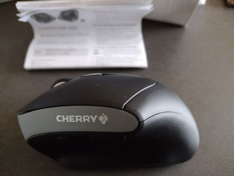 SOURIS ERGONOMIQUE CHERRY 28 Ormes (45)